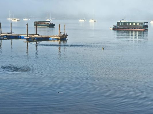 habour view from living room